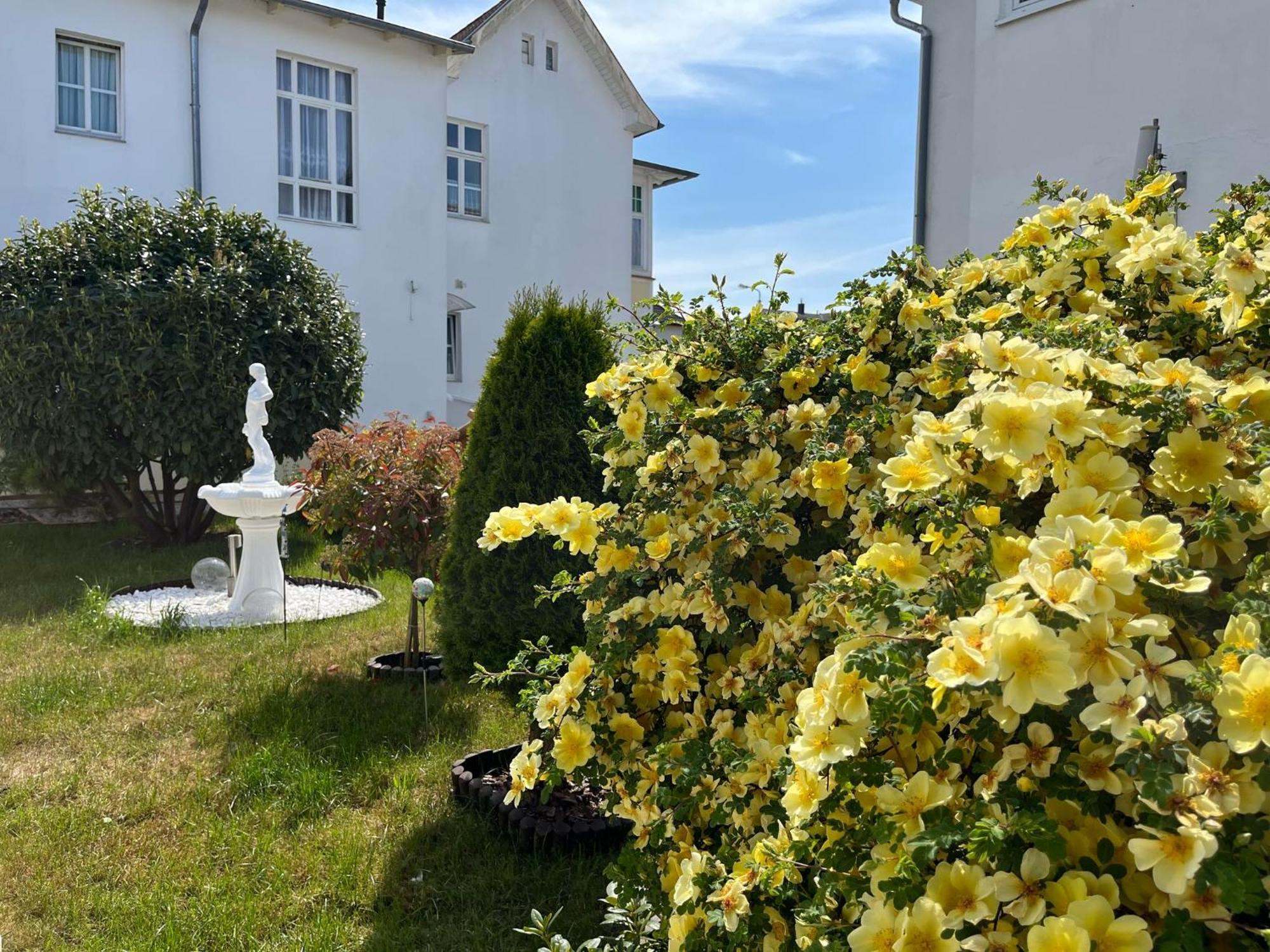 Pension Mittag Heringsdorf  Esterno foto