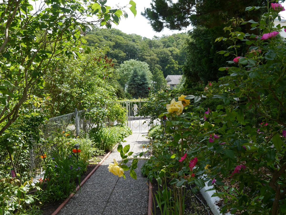 Pension Mittag Heringsdorf  Esterno foto